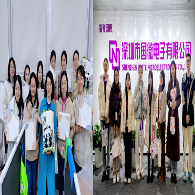 追光而遇，沐光同行————國(guo)微電(dian)子(zi)三八節(jie)禮物(wù)髮(fa)放